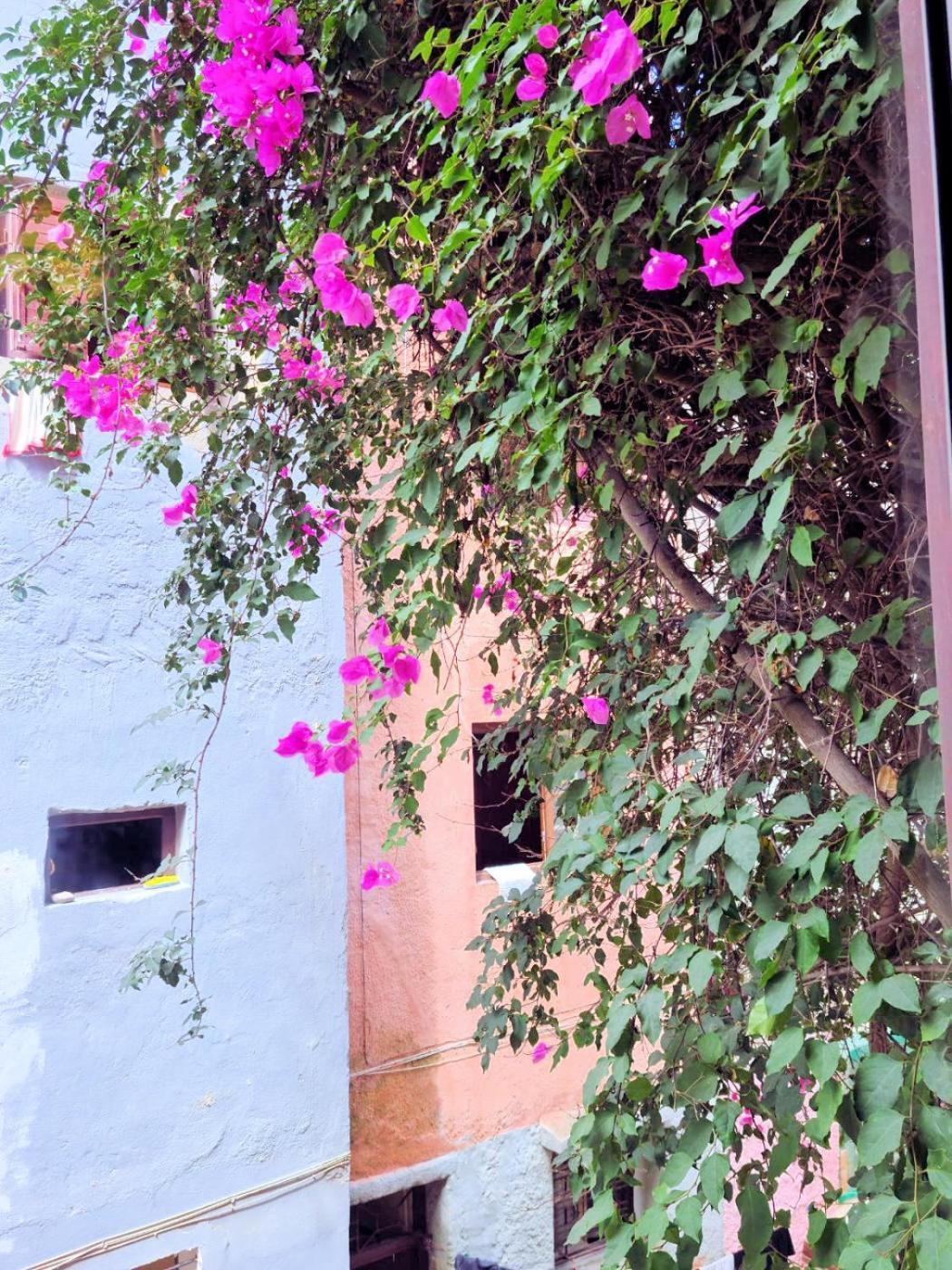 Maison D'Hotes Cite Portugaise El Jadida Ruang foto
